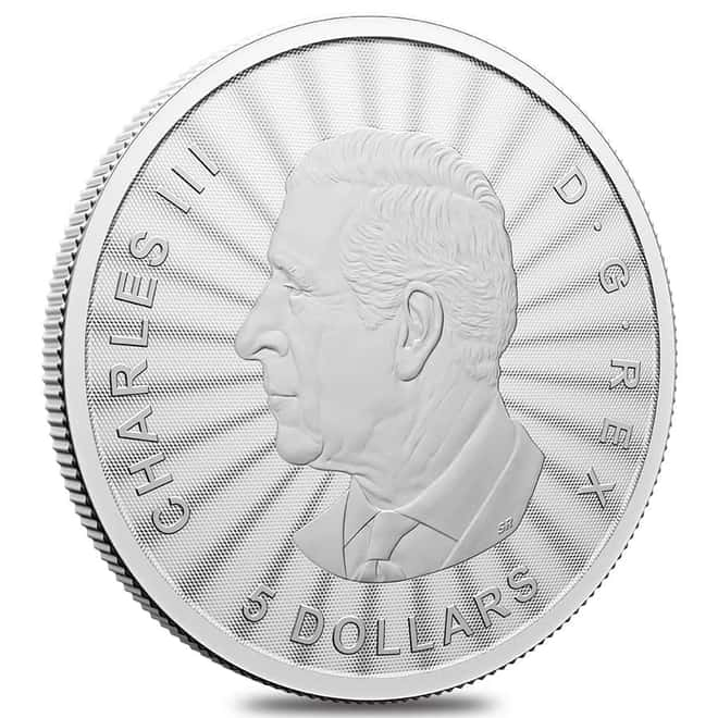 2024 The Majestic Polar Bears 1oz silver coin