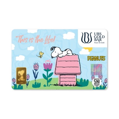 UBS Peanuts Snoopy on the roof 1g bar
