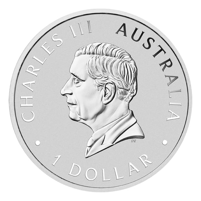 Australian 2026 Koala 1oz coloured Silver coin in Card (ANDA Special Edition)